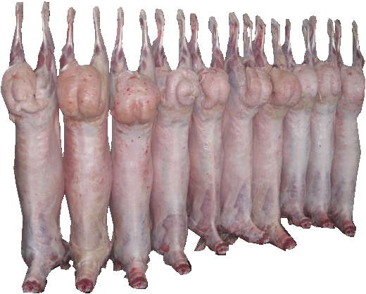 出售羊胴体及各个部位肉