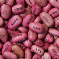 新奇特 山西内蒙古义乌广东河南 小商品批发 魔豆种子（50颗）