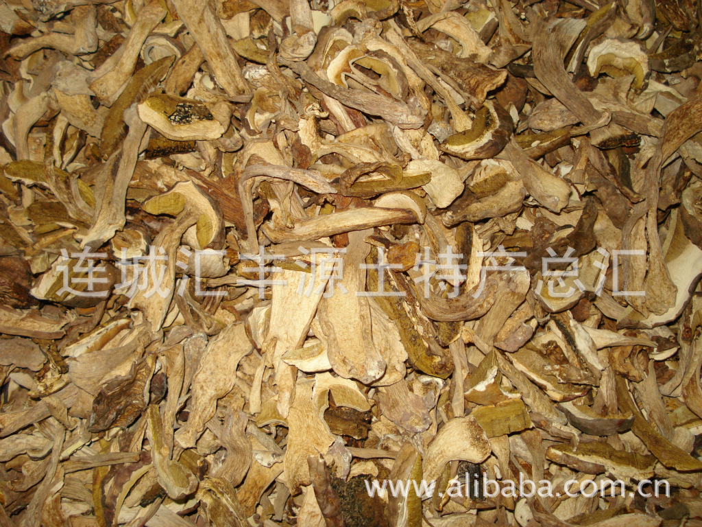 闽西土特产牛肝菌（铁皮菇） 绿色健康爽滑脆嫩营养   一斤起批