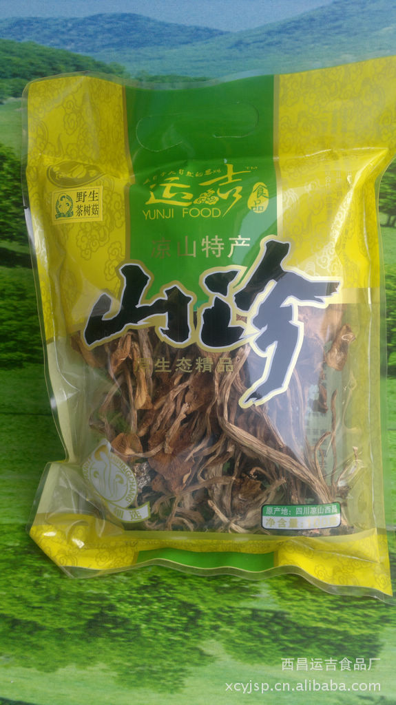 运吉茶树菇菌100克