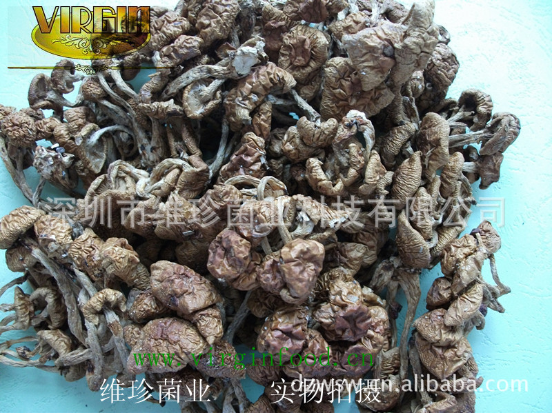 批发食用菌 专业供应优质出干姬菇 见图片(图)