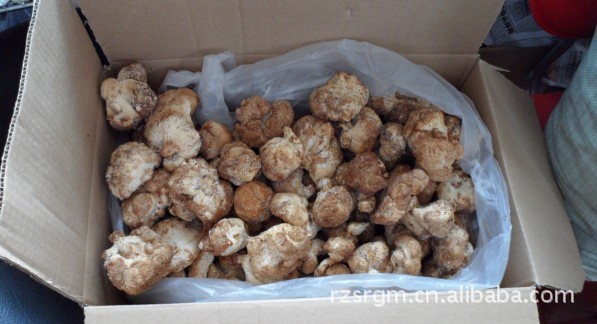 东北特产 吉林融泽 野生猴头菇 散装 营养价值高