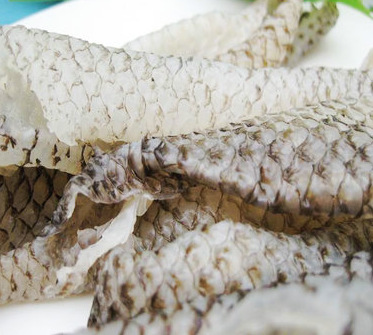 供应鱼皮 水产优质冷冻鱼皮