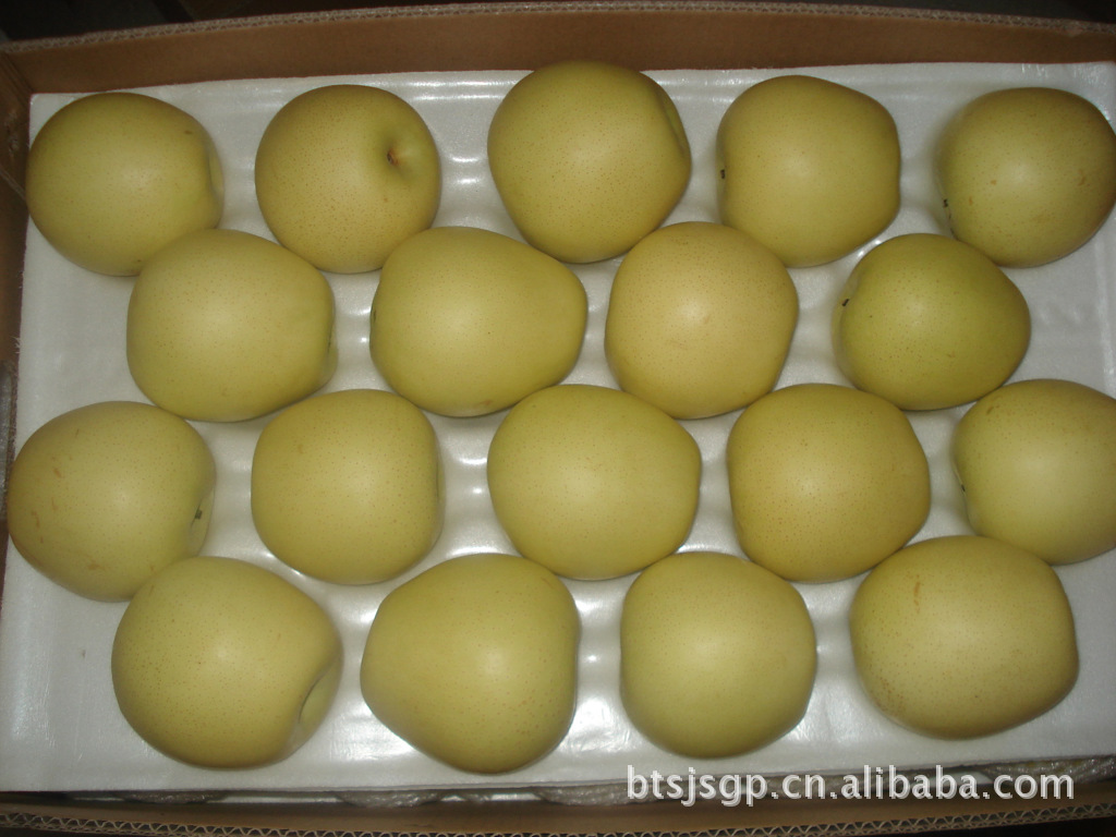 供应果肉乳白，肉质脆嫩，多汁而甜并有清香气味的皇冠梨.