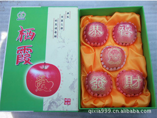 供应精品红富士苹果 贴字苹果 圣诞平安果 高档礼品果