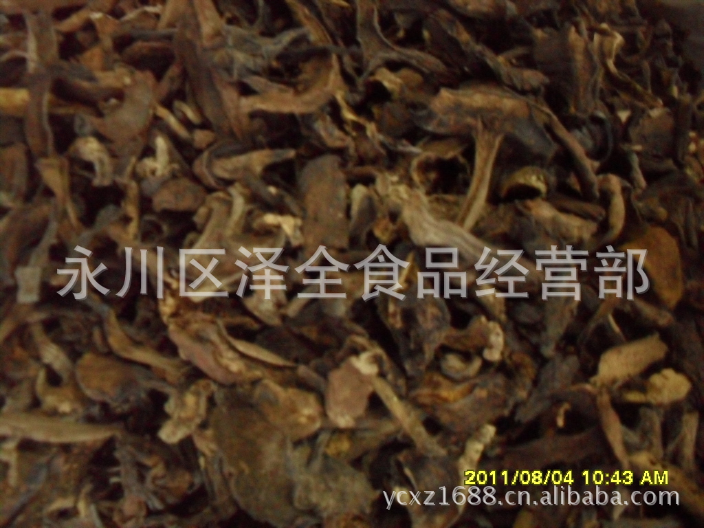 【金牌食用菌批发选购】精品野生牛肝菌  肉肥厚，柄粗壮