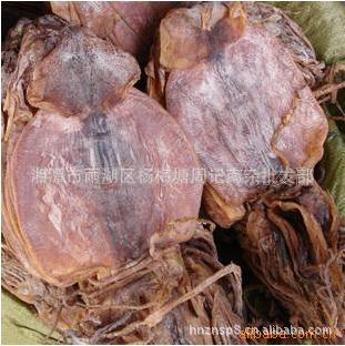 【水产干货】批发供应 干鱿鱼 鱿鱼干散装批发供应