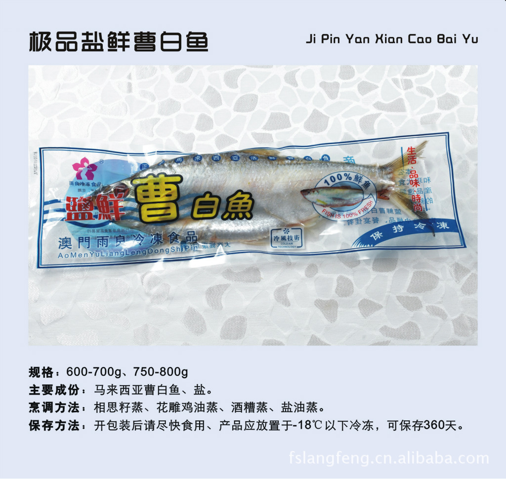 供应冷冻食品 盐鲜极品曹白鱼  水产冷冻食品