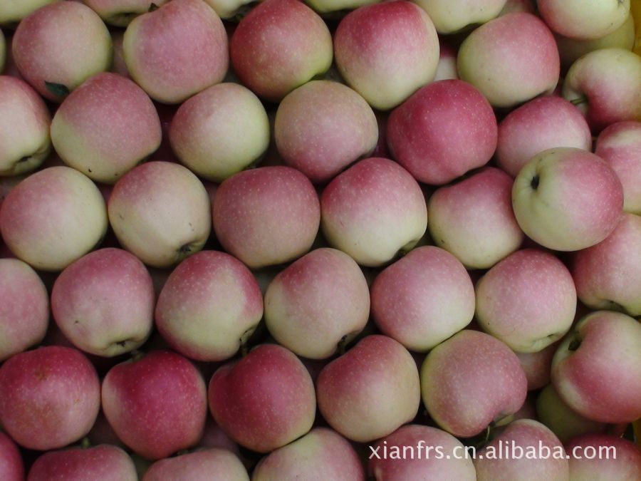 纸袋嘎啦 2012全新上市 味道可口