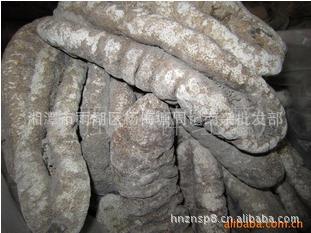 【水产干货】批发供应 淡水干海参 散装批发供应