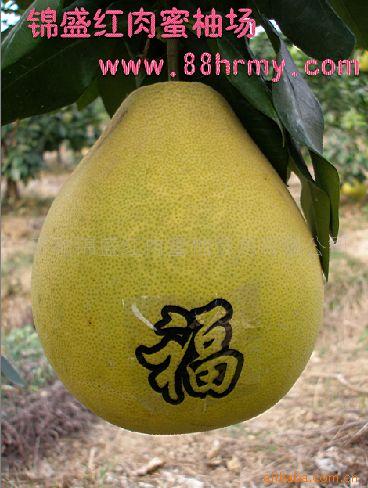 供应优秀果品琯溪蜜柚果品价格实惠