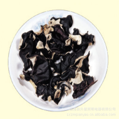 [厂家供应]白背木耳 干木耳 白背黑木耳 干品食用菌