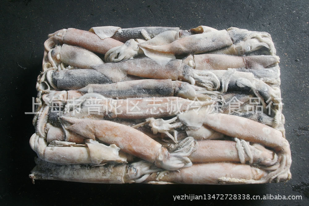 冷冻朝鲜鱿鱼，船冻朝鲜鱿鱼