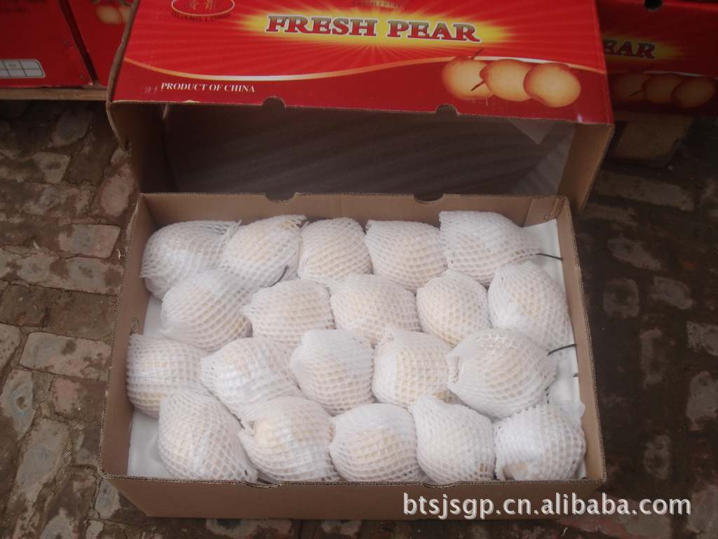 金沙大量供应出口到中东、东南亚、欧洲、俄罗斯的一级果鸭梨.