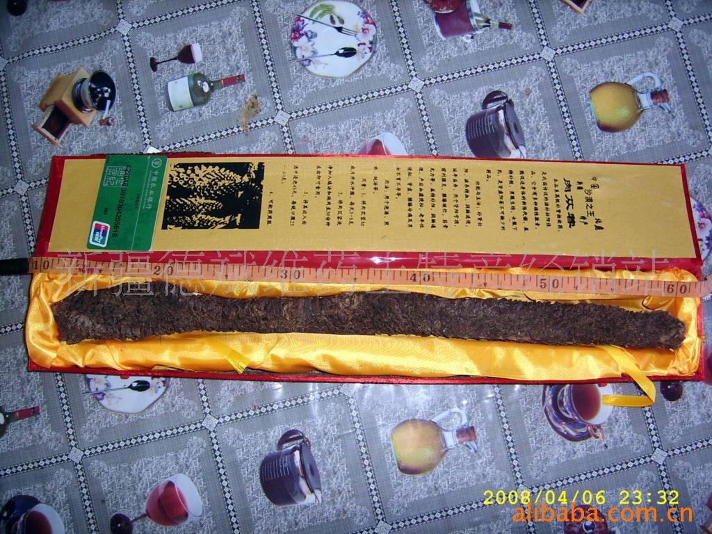 供应北疆特产人参 软肉苁蓉36cm