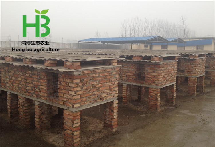 2016-01-06 124443.jpg