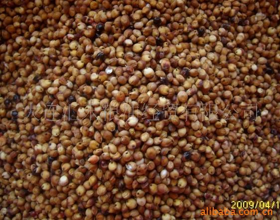 供应   优质  东北    红高粱