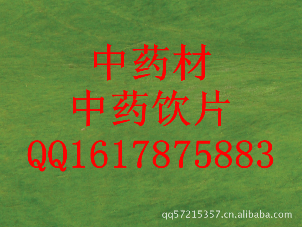供应中药材 中药饮片 青蒿 中草药