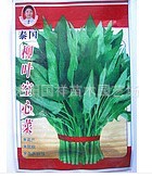 供应家庭实惠装蔬果种子 蔬菜种子 柳叶空心菜种子 空心菜 爽口
