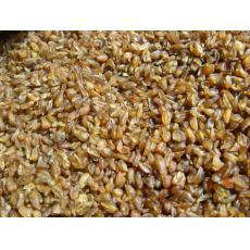 供应优质苦荞麦米