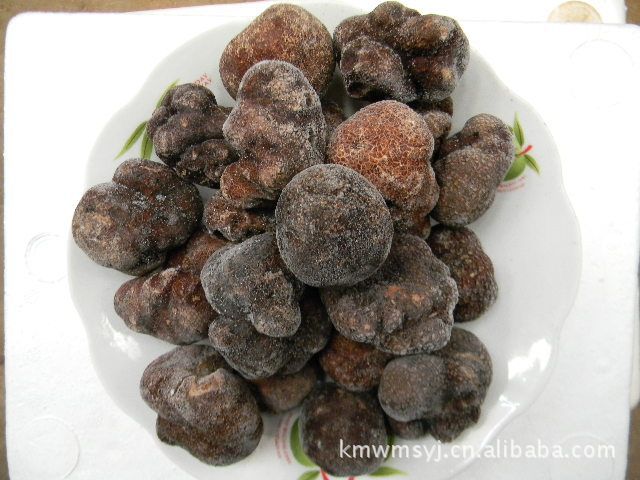 速冻松露 野生食用菌