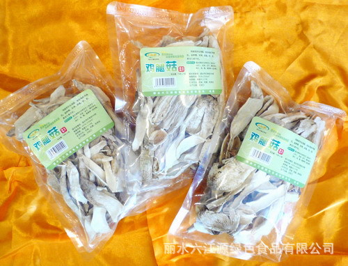 六江源鸡腿菇
