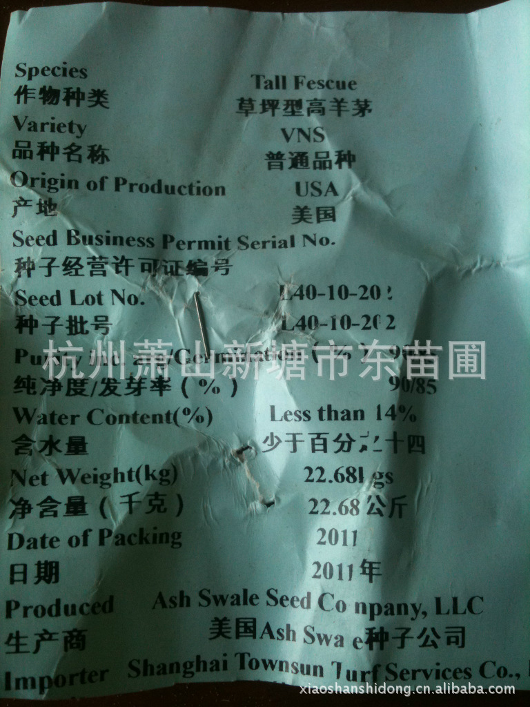 进口种子/高羊茅草籽/草坪型高羊茅大量供应