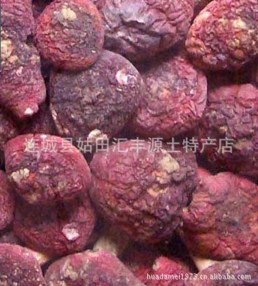 野生红菇/福建连城本地红菇/