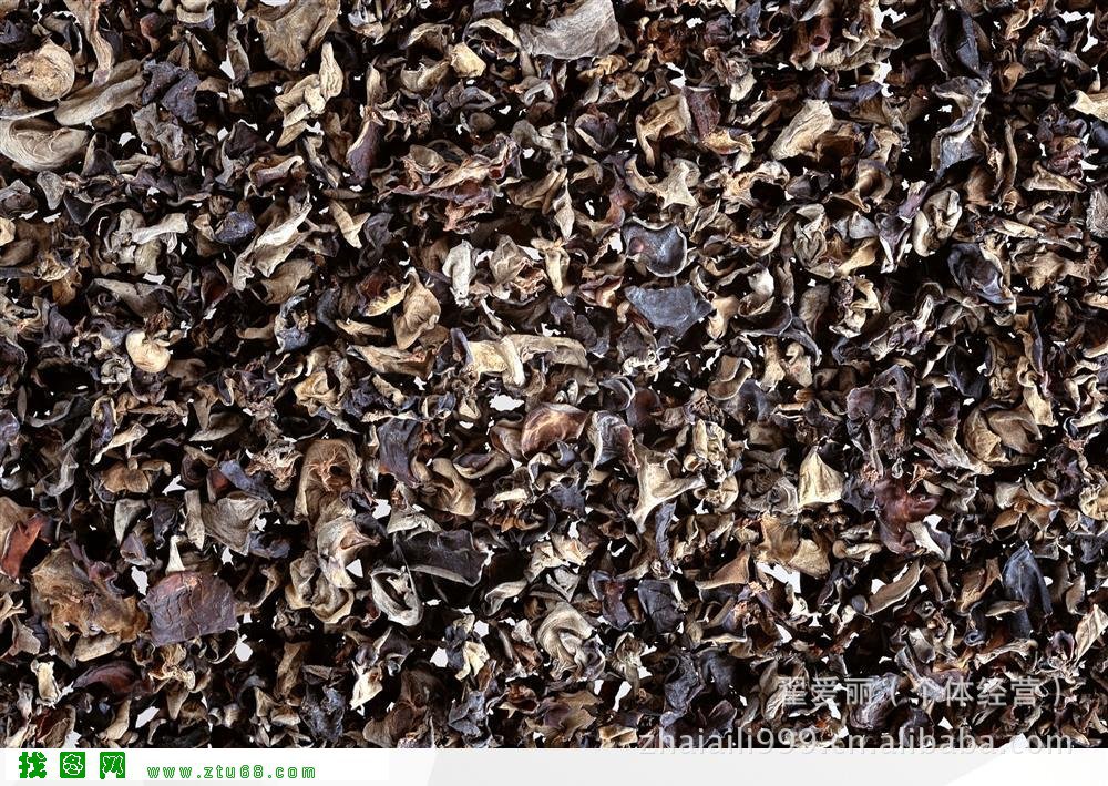 现货供应优质长白山野生有机黑木耳