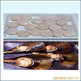 江瑶贝|大连海鲜|大连水产