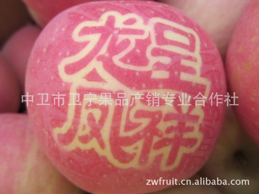 绿色无公害有机营养品【贴字礼品红富士苹果】 宁夏果品 箱装