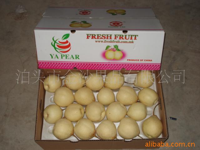 供应河北鸭梨