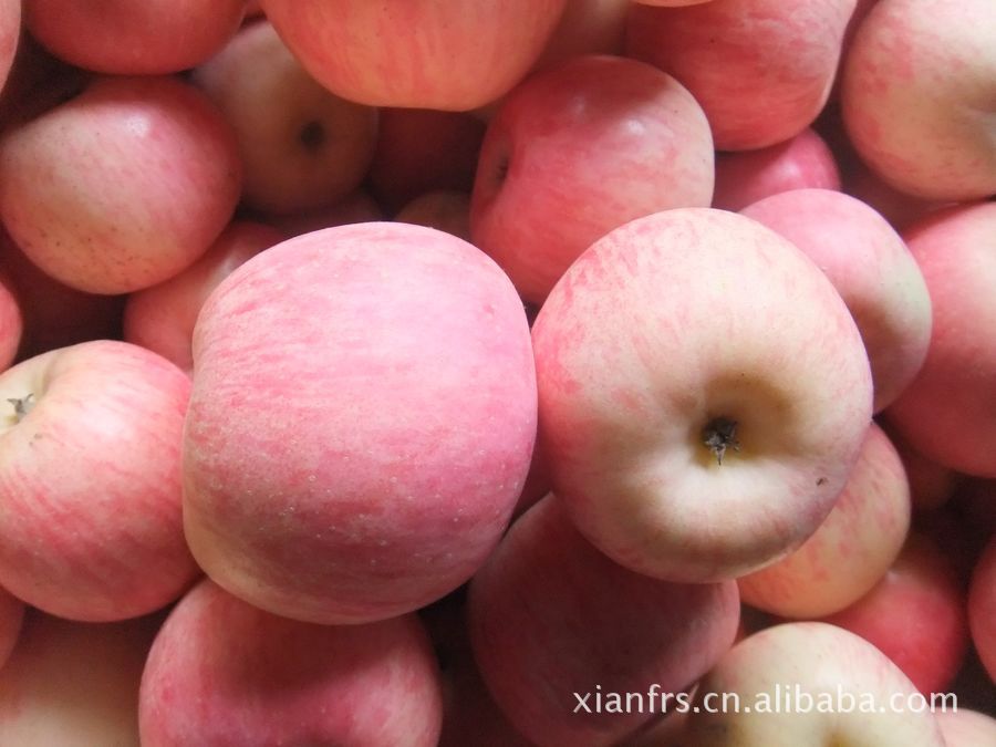 纸袋富士----表皮光滑 颜色美丽 味道可口