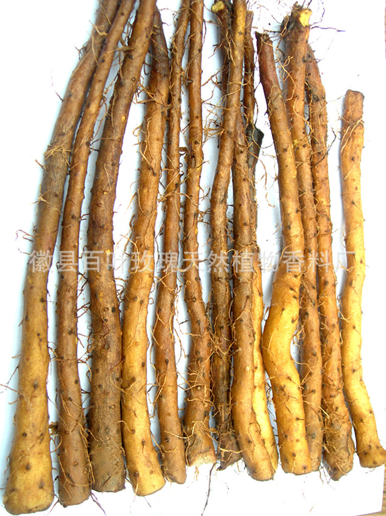 山药种子、野生山药种子、优质野生山药种子