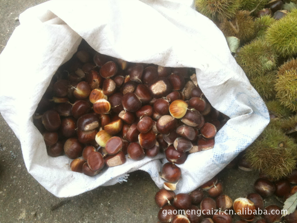 迁西板栗，果品优质，各种等级，各种规格，期待您下单采购