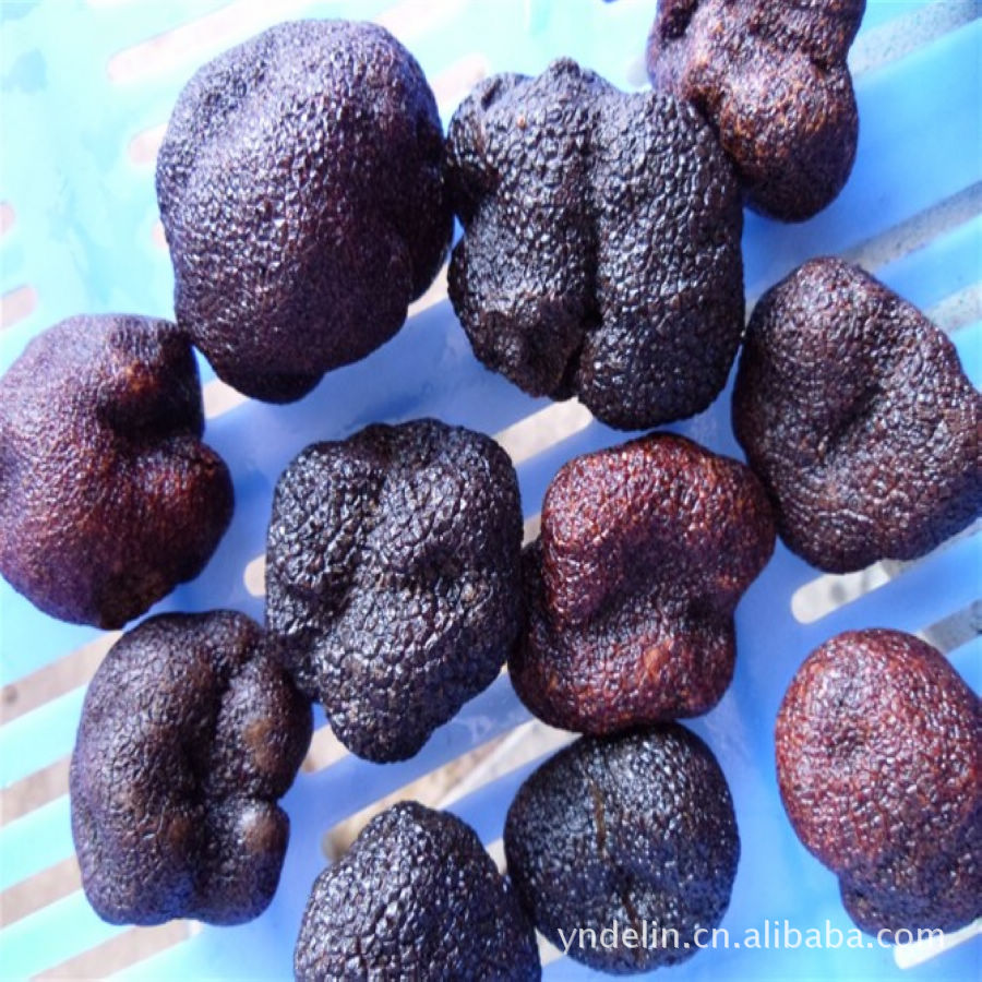 来自野生菌王国的养生佳品--黑松露（块菌）