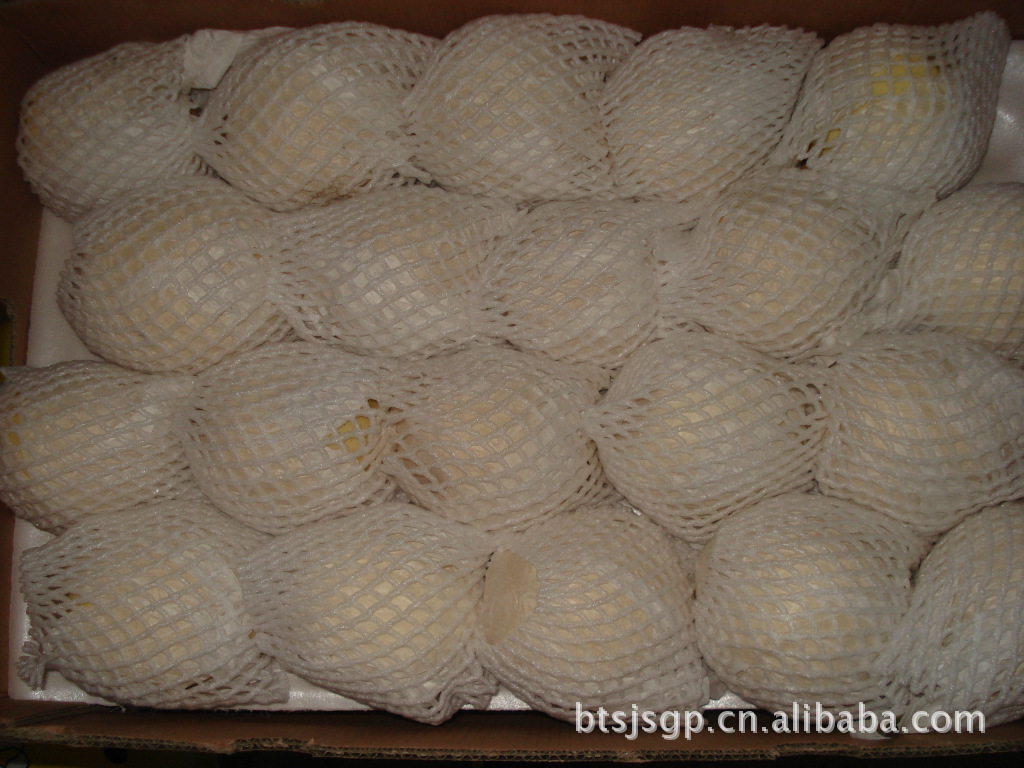 大量供应润肺止渴、美容养颜的河北鸭梨