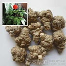 批零中药饮片；三七，主治、止血散瘀、消肿定痛，植物原药材。