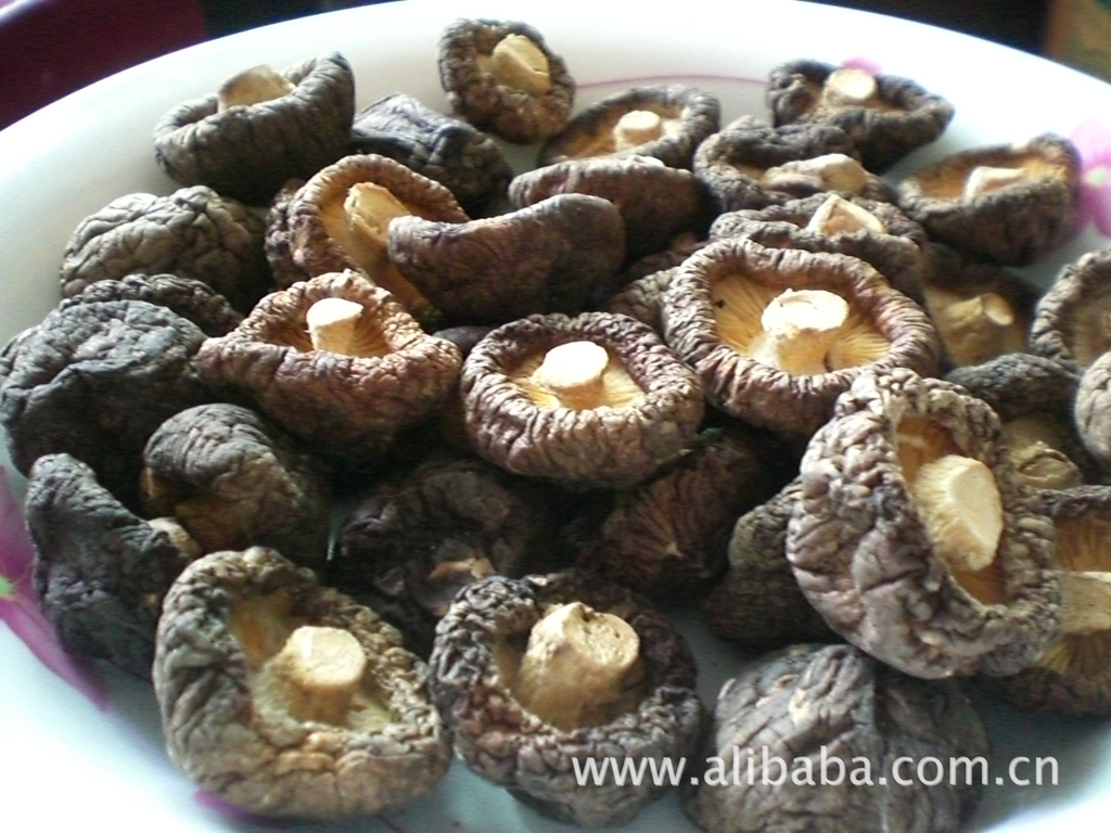 香菇 财龙佳品  福建古田特产