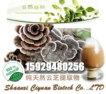 菌类多糖系列：云芝多糖|灵芝多糖