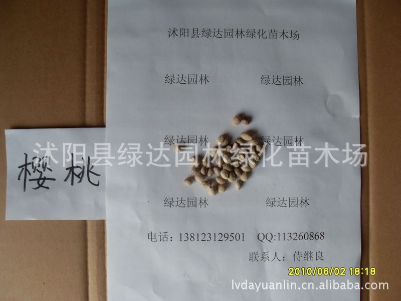 供应樱花种子，山樱桃种子，山樱花种子，樱桃种子，观赏型的