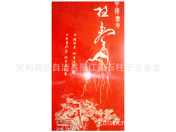 厂家供应优质极品石柱参 人参