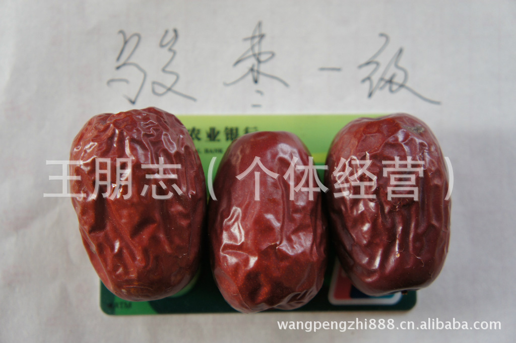 招商加盟代理创业 果品骏枣一级招商加盟代理创业