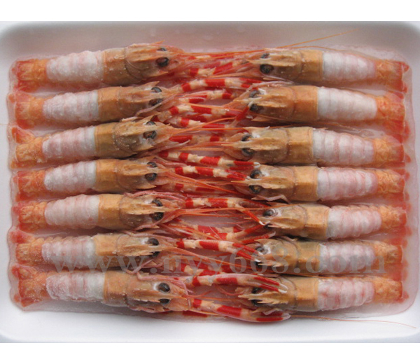 长期供应北海道迷你龙虾（14-16/18-20）