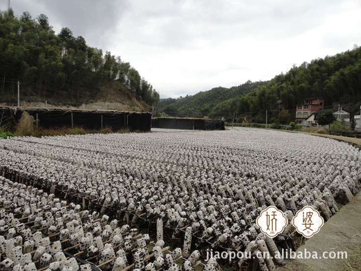 庆元特产黑木耳 单耳 产地批量供应