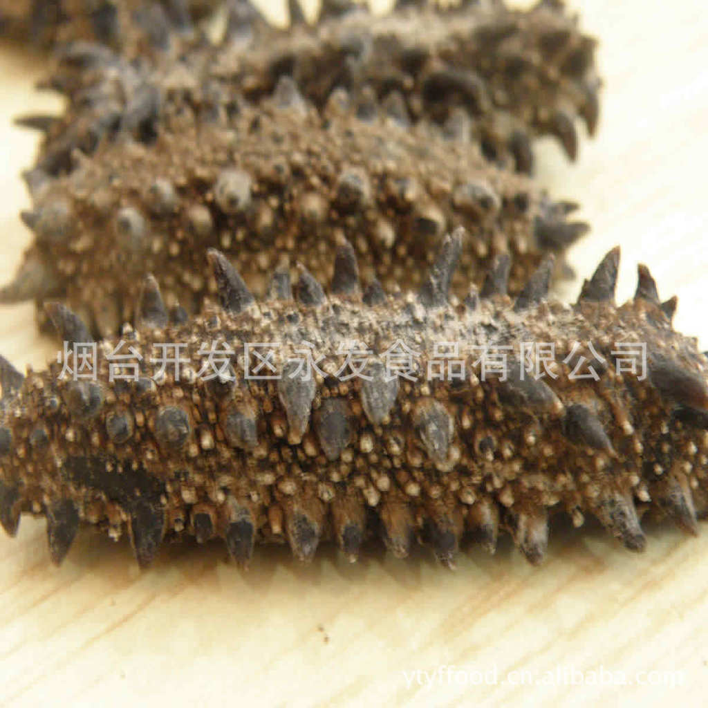 供应优质盐干海参【40头~150头】海产品干货，干制水产品