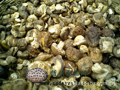 湖北随县三里岗镇原产地76元/KG的干香菇批发