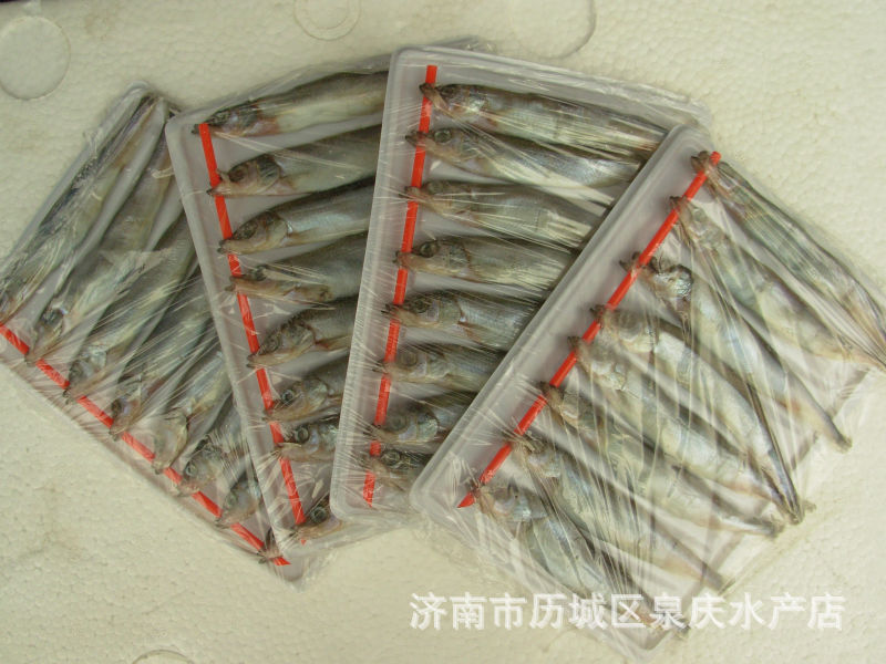 济南泉庆水产 精品多春鱼