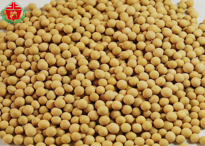 供应大豆，玉米，小麦，豆粕，马铃薯淀粉等粮油作物