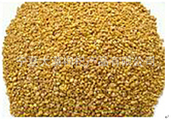 批发供应热销专业优质枸杞种子